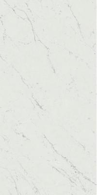 Carrara Pure 60x120 Lappato
