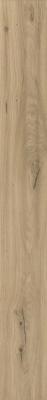  ATLAS CONCORDE LOG Moon Oak Forest 20x180 