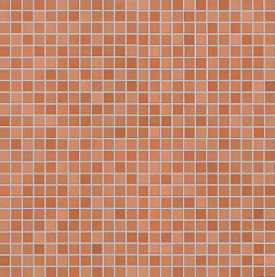 Curcuma Micromosaico