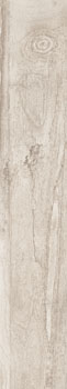 RDKA 2012B RM 20x120
