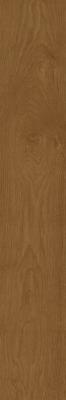  ATLAS CONCORDE HEARTWOOD Brandy 20x120 
