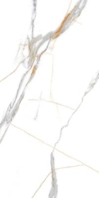  Absolut Gres ROMA GRIGIO Grigio Gloss 1200x600 