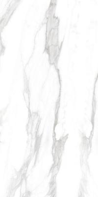 Statuario Glacier Pol. 6 mm 60x120
