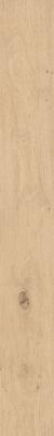  ATLAS CONCORDE LOG Bright Oak 18,5x150 