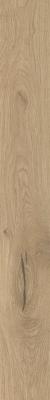  ATLAS CONCORDE LOG Moon Oak Forest 18,5x150 