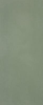  FAP CERAMICHE MATERIA BRILLANTE Bosco 50x120 RT 