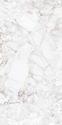  Absolut Gres Rossalia Natural Natural Gloss 1200x600 