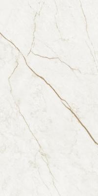  АТЛАС КОНКОРД FORTE DEI MARMI QUARK F.d.M.Quark Sahara Bl. Rett 60x120 Cer 