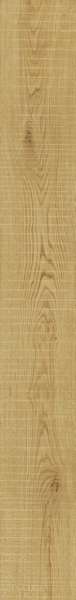  ATLAS CONCORDE EXENCE Almond Saw Cut 18,5x150 