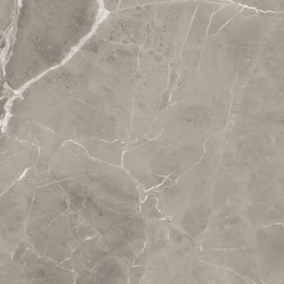 PU.ELEGANT GREIGE LUX 120X120RT