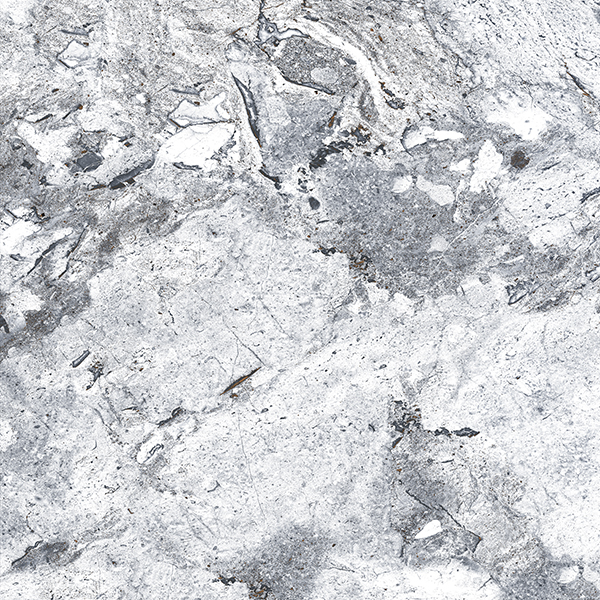  Absolut Gres ORDITO GREY Grey gloss 600x600 