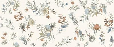  MARCA CORONA MIRABILIA Clorofilla 50x120 