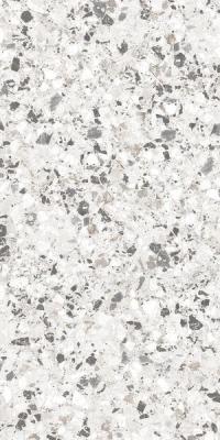  CERDOMUS NEOCLASSICA Aulite Lev 60x120 RT 