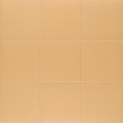 MAINZU TECHNICAL Tangerine 20х20 