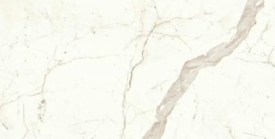 Calacatta Prestigio 75x150 Silk