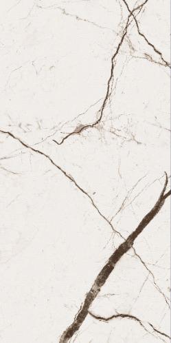  Absolut Gres WONICY WHITE White gloss 1200x600 