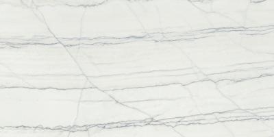 Platinum White Opaco 40x80