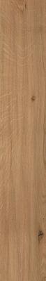 Deep Oak Forest 20x120