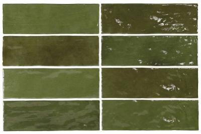  EQUIPE LA RIVIERA Riviera Botanical Green 6.5x20 