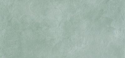 Напольная плитка ATLAS CONCORDE Evolve Silver 30x60 
