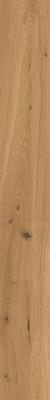  ATLAS CONCORDE LOG Amber Oak Forest 18,5x150 