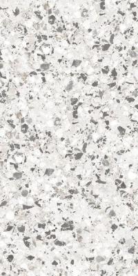  CERDOMUS NEOCLASSICA Aulite Brushed 60x120 RT 