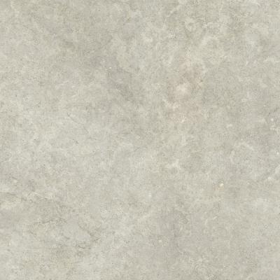  RAGNO RICHMOND Taupe Rett 100x100 