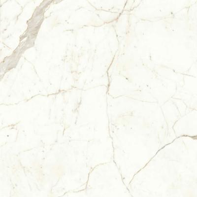 Calacatta Prestigio 120x120 Matt