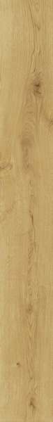  ATLAS CONCORDE EXENCE Almond 18,5x150 Grip 