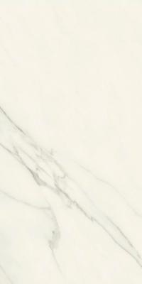 Calacatta Meraviglia 60x120