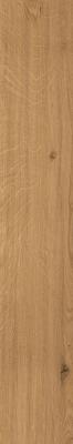 Amber Oak Forest 20x120
