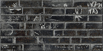  LEONARDO WORD UP WALLGRAF.NE MIX 30x60 