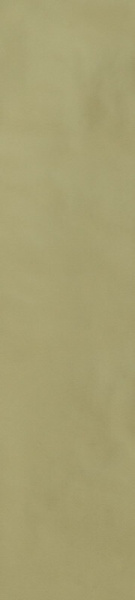 Напольная плитка CASA DOLCE CASA SENSI COLORE Керамогранит CASA DOLCE CASA SENSI COLORE SALVIA GLOSSY 5.7x23.2 786011 