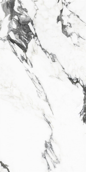Напольная плитка YURTBAY MARBLE Керамогранит YURTBAY MARBLE PANDA MARBLE WHITE PLSH RCPR 60x120 P19707.3 