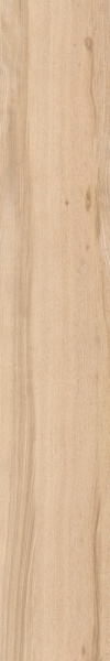 Керамогранит DEL CONCA NATIVE Frassino матовая 20x120 21NI03R