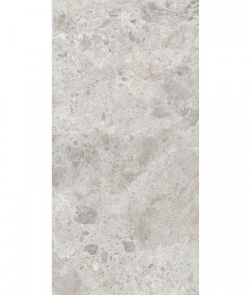 Керамогранит ABK ERA Blooming Ash матовая 60x120 PF60030187