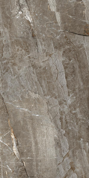  Absolut Gres AQUAFINA NATURAL Natural gloss 1200x600 