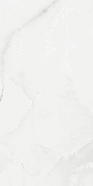  Absolut Gres ROYAL GREY LIGHT Grey Light gloss 1200x600 