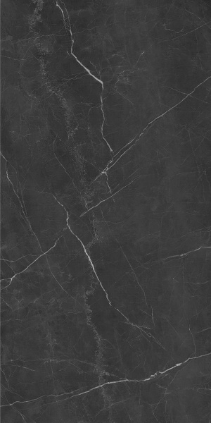  Absolut Gres Roma black Roma black 120x60 