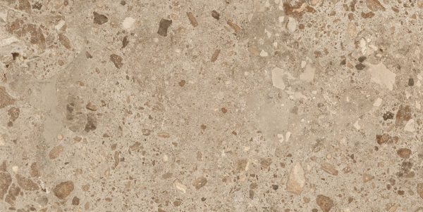  GRESPANIA BIERZO MOKA SEDA 60x120 