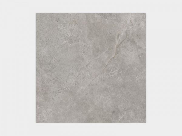  PORCELANOSA Fiori Di Bosco Pol.pv6 120x120 