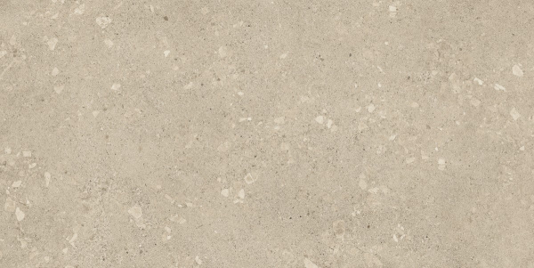 Керамогранит ATLAS CONCORDE RUSSIA RINASCENTE FUSION Agglomerate Light матовая 60x120 610010002991