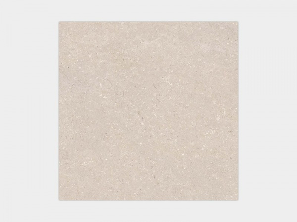  PORCELANOSA CORAL Caliza L 80x80 