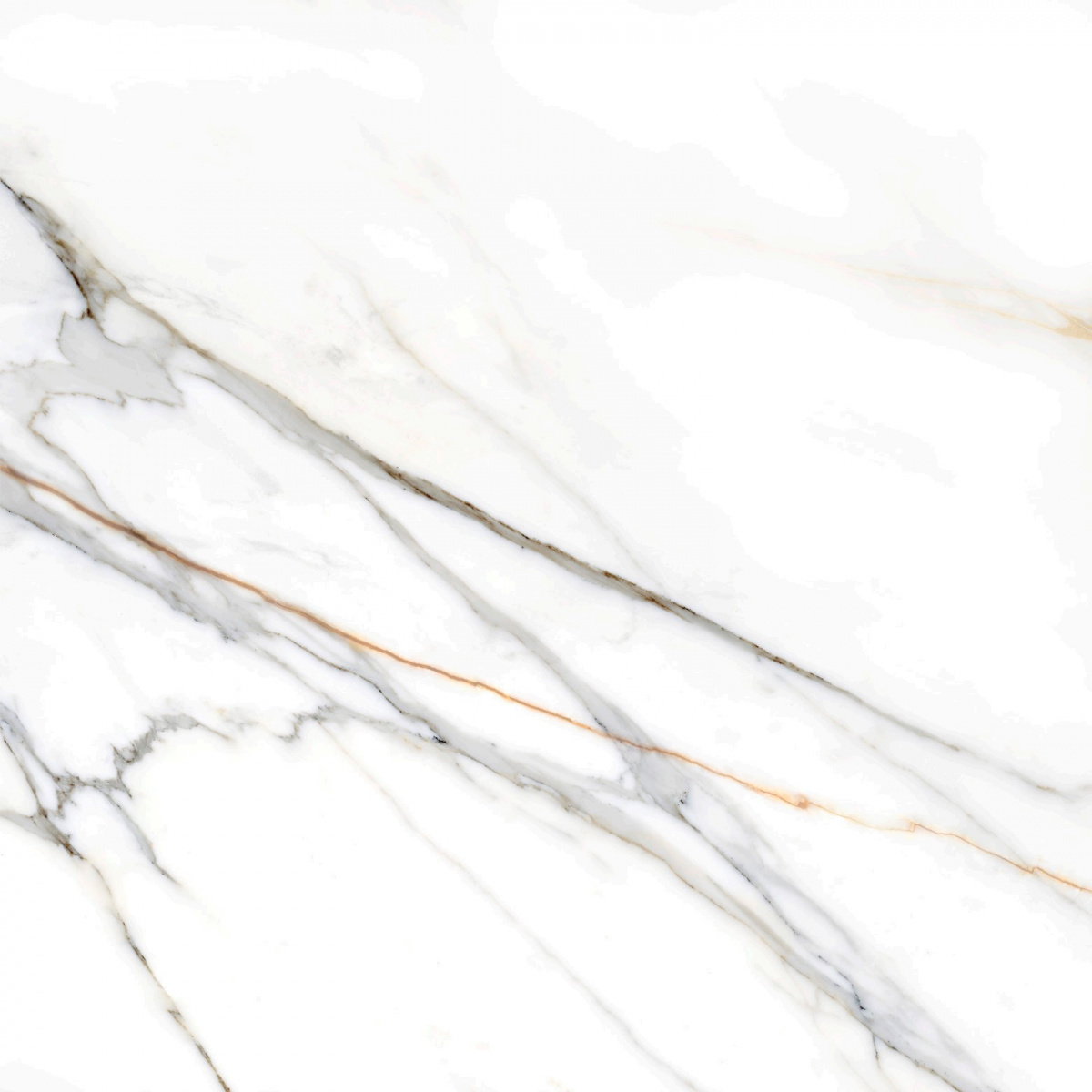  COLORKER CALACATTA GOLD CALACATTA GOLD WHITE PULIDO RECT. 120x120 M-86 