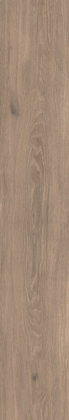  CAESAR COCOON EASE 20X120 