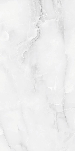  Absolut Gres SNOW ONIX GREY Grey Gloss 1200x600 