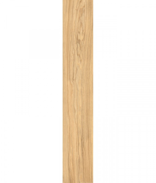 Керамогранит FAETANO DEL CONCA NATIVE NI 1 Rovere Oliato матовая 20x120 21NI01R