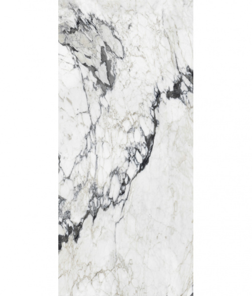  FLORIM-LUXURY LES BIJOUX DE REX ALTISSIMO GLO 6MM 120X280 R 