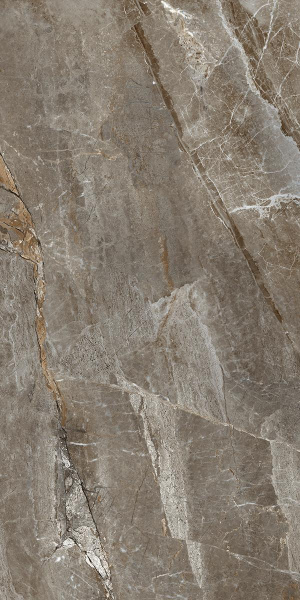  Absolut Gres AQUAFINA NATURAL Natural gloss 1200x600 