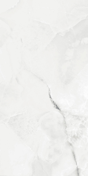  Absolut Gres ROYAL GREY LIGHT Grey Light gloss 1200x600 